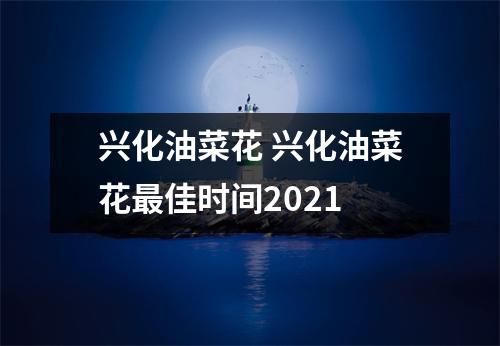 兴化油菜花 兴化油菜花最佳时间2021