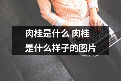 肉桂是什么 肉桂是什么样子的图片
