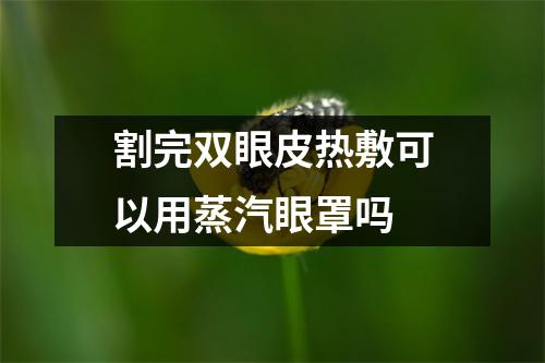 割完双眼皮热敷可以用蒸汽眼罩吗