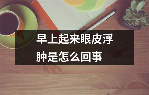 早上起来眼皮浮肿是怎么回事