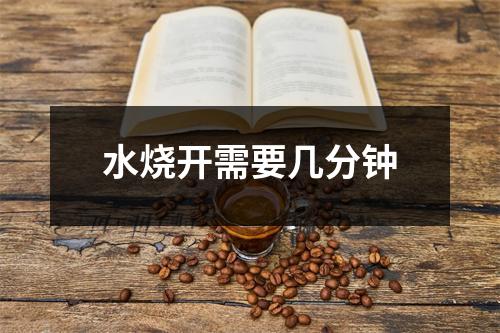 水烧开需要几分钟