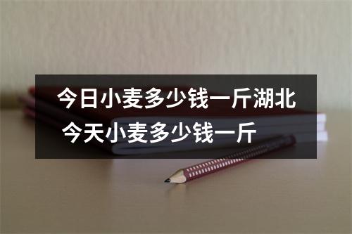 今日小麦多少钱一斤湖北 今天小麦多少钱一斤