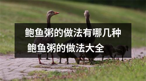 鲍鱼粥的做法有哪几种 鲍鱼粥的做法大全 鲍鱼粥的做法有哪几种 鲍鱼粥的做法大全