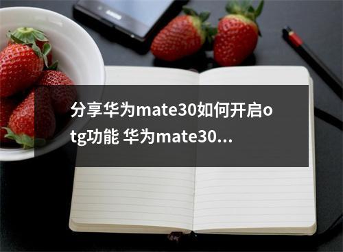 分享华为mate30如何开启otg功能 华为mate30怎样打开OTG 分享华为mate30如何开启otg功能 华为mate30怎样打开OTG