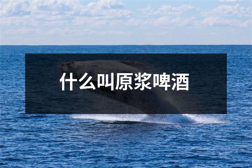什么叫原浆啤酒 什么叫原浆啤酒