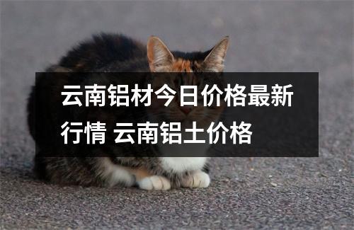 云南铝材今日价格最新行情 云南铝土价格 云南铝材今日价格最新行情 云南铝土价格