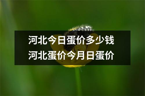 河北今日蛋价多少钱 河北蛋价今月日蛋价
