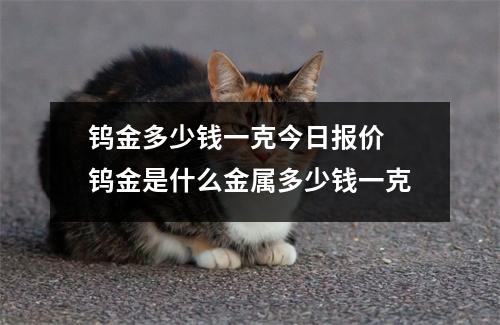 钨金多少钱一克今日报价 钨金是什么金属多少钱一克