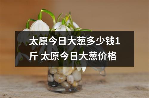 太原今日大葱多少钱1斤 太原今日大葱价格