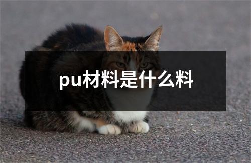 pu材料是什么料