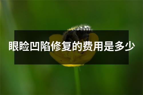 眼睑凹陷修复的费用是多少