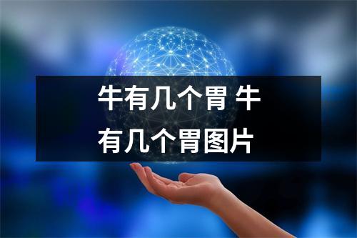 牛有几个胃 牛有几个胃图片