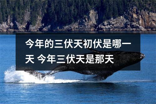 今年的三伏天初伏是哪一天 今年三伏天是那天