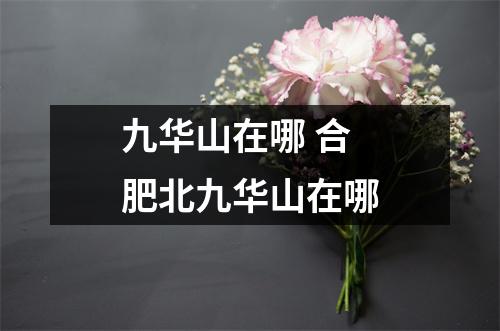 九华山在哪 合肥北九华山在哪 九华山在哪 合肥北九华山在哪