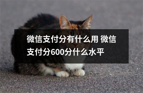 微信支付分有什么用 微信支付分600分什么水平