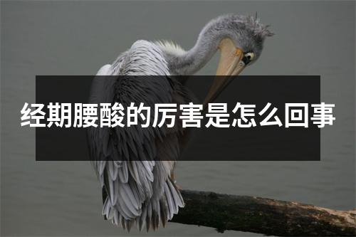经期腰酸的厉害是怎么回事