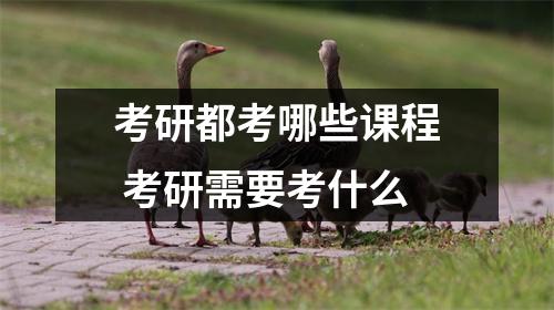 考研都考哪些课程 考研需要考什么 考研都考哪些课程 考研需要考什么
