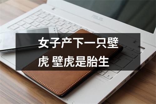 女子产下一只壁虎 壁虎是胎生 女子产下一只壁虎 壁虎是胎生