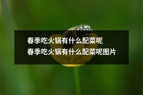 春季吃火锅有什么配菜呢 春季吃火锅有什么配菜呢图片 春季吃火锅有什么配菜呢 春季吃火锅有什么配菜呢图片