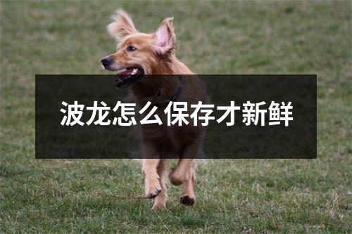 波龙怎么保存才新鲜 波龙怎么保存才新鲜