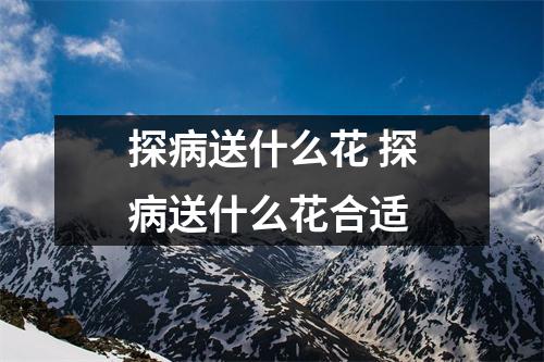 探病送什么花 探病送什么花合适