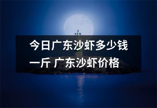 今日广东沙虾多少钱一斤 广东沙虾价格