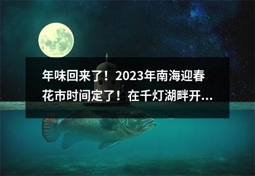 年味回来了！2023年南海迎春花市时间定了！在千灯湖畔开市！ 2021年南海迎春花市