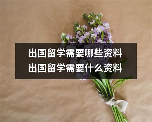 出国留学需要哪些资料 出国留学需要什么资料 出国留学需要哪些资料 出国留学需要什么资料