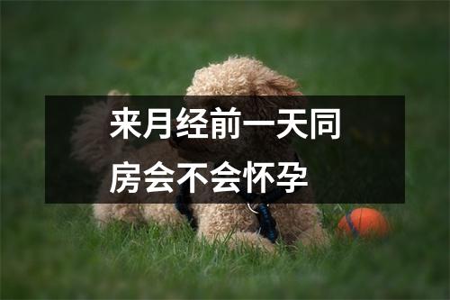 来月经前一天同房会不会怀孕