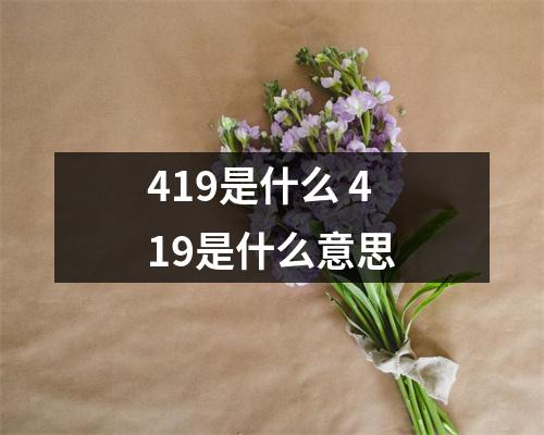 419是什么 419是什么意思 419是什么 419是什么意思