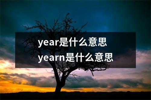 year是什么意思 yearn是什么意思 year是什么意思 yearn是什么意思