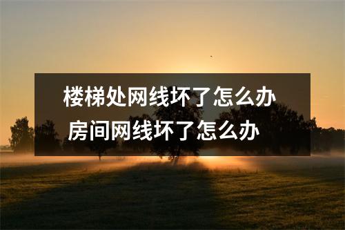 楼梯处网线坏了怎么办 房间网线坏了怎么办 楼梯处网线坏了怎么办 房间网线坏了怎么办