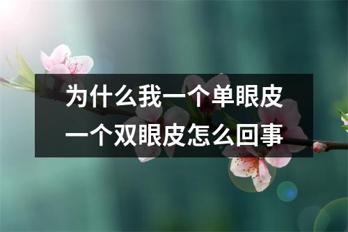 为什么我一个单眼皮一个双眼皮怎么回事