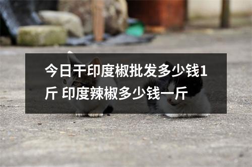 今日干印度椒批发多少钱1斤 印度辣椒多少钱一斤 今日干印度椒批发多少钱1斤 印度辣椒多少钱一斤