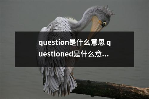 question是什么意思 questioned是什么意思