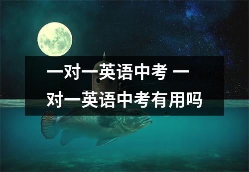 一对一英语中考 一对一英语中考有用吗
