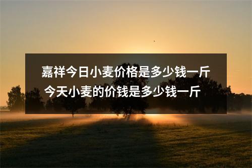 嘉祥今日小麦价格是多少钱一斤 今天小麦的价钱是多少钱一斤 嘉祥今日小麦价格是多少钱一斤 今天小麦的价钱是多少钱一斤