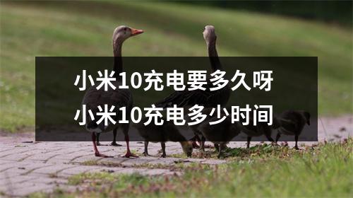 小米10充电要多久呀 小米10充电多少时间