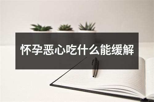 怀孕恶心吃什么能缓解