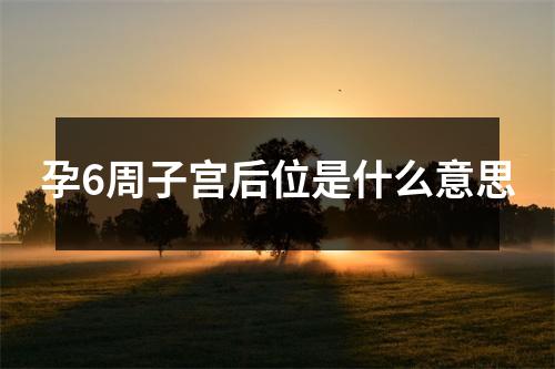 孕6周子宫后位是什么意思