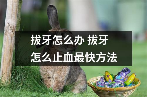 拔牙怎么办 拔牙怎么止血最快方法