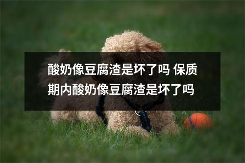 酸奶像豆腐渣是坏了吗 保质期内酸奶像豆腐渣是坏了吗 酸奶像豆腐渣是坏了吗 保质期内酸奶像豆腐渣是坏了吗