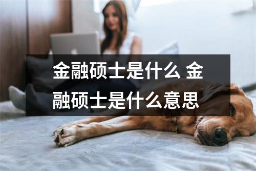 金融硕士是什么 金融硕士是什么意思 金融硕士是什么 金融硕士是什么意思