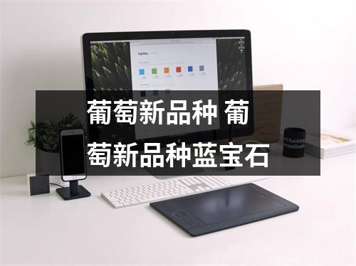 葡萄新品种 葡萄新品种蓝宝石