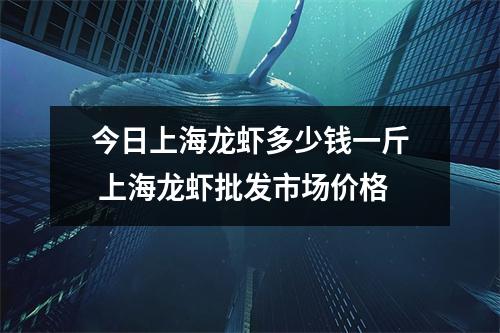今日上海龙虾多少钱一斤 上海龙虾批发市场价格