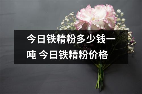 今日铁精粉多少钱一吨 今日铁精粉价格 今日铁精粉多少钱一吨 今日铁精粉价格