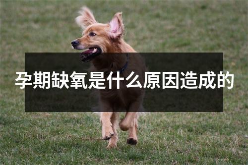 孕期缺氧是什么原因造成的