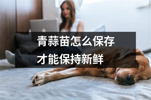 青蒜苗怎么保存才能保持新鲜 青蒜苗怎么保存才能保持新鲜