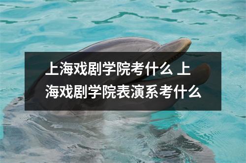 上海戏剧学院考什么 上海戏剧学院表演系考什么