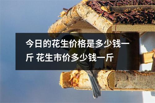 今日的花生价格是多少钱一斤 花生市价多少钱一斤 今日的花生价格是多少钱一斤 花生市价多少钱一斤